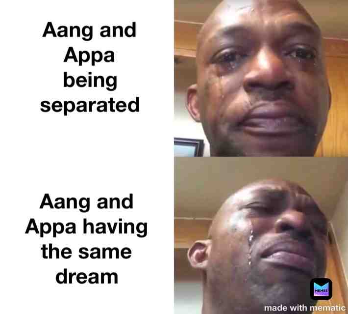 Appa’s Lost Days gets me every time #atla #avataraang #aang #appa #appaslostdays #aangedit #appaedit
