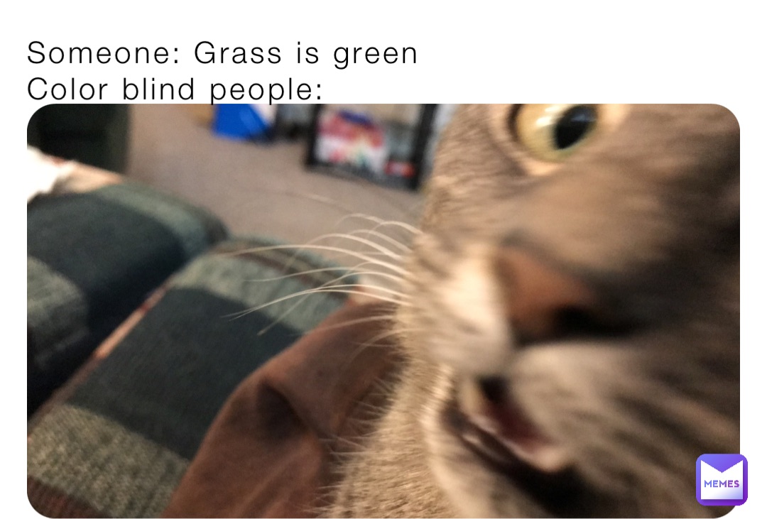 Someone: Grass is green
Color blind people: