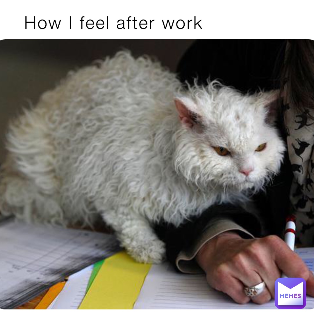 How I feel after work