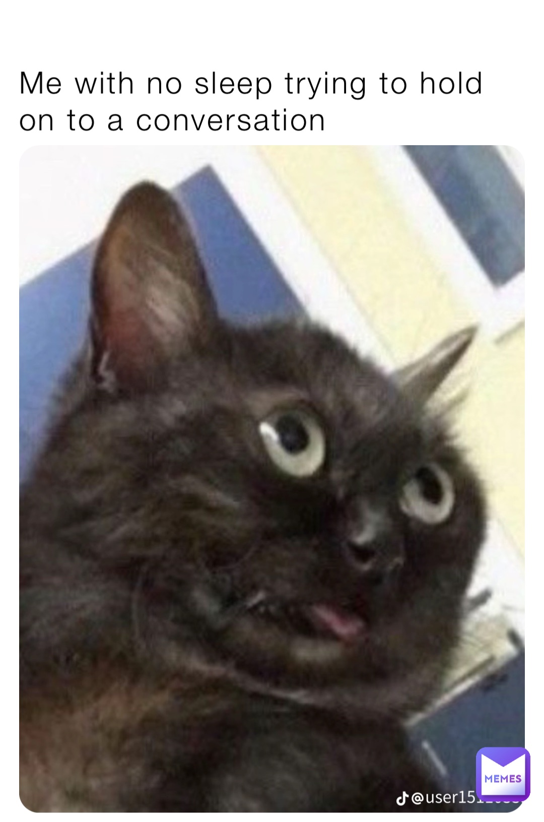 Me with no sleep trying to hold on to a conversation