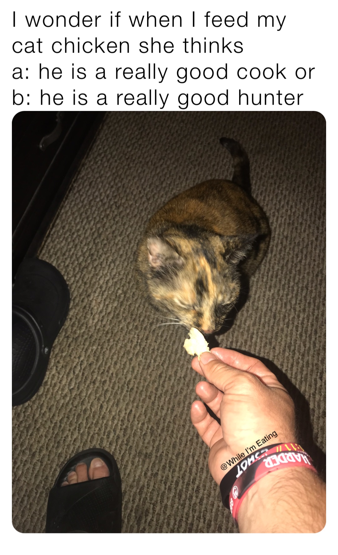 I wonder if when I feed my cat chicken she thinks
a: he is a really good cook or 
b: he is a really good hunter