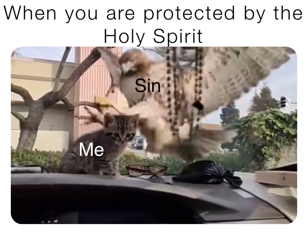 When you are protected by the
Holy Spirit Sin Me