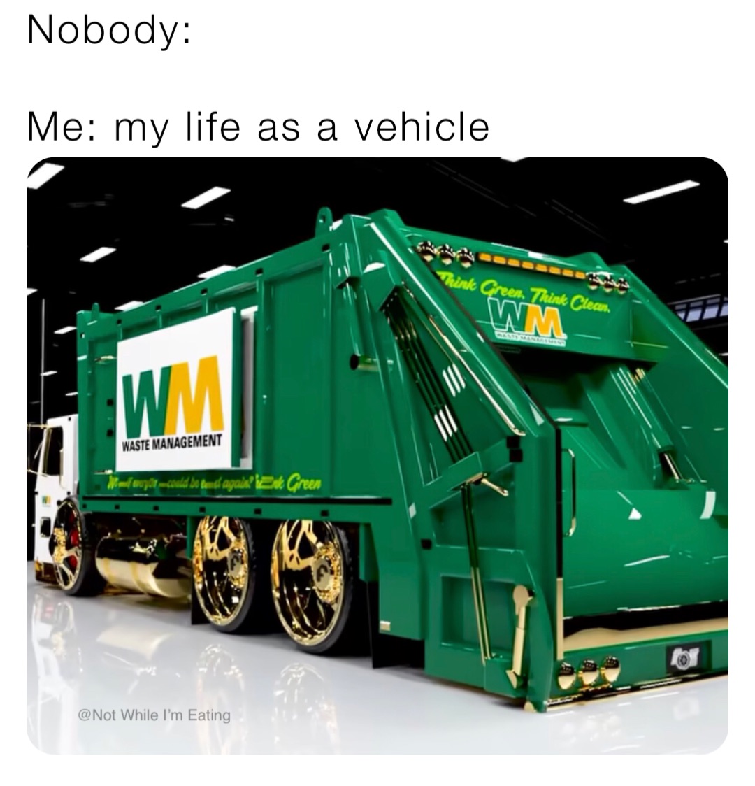 Nobody:

Me: my life as a vehicle