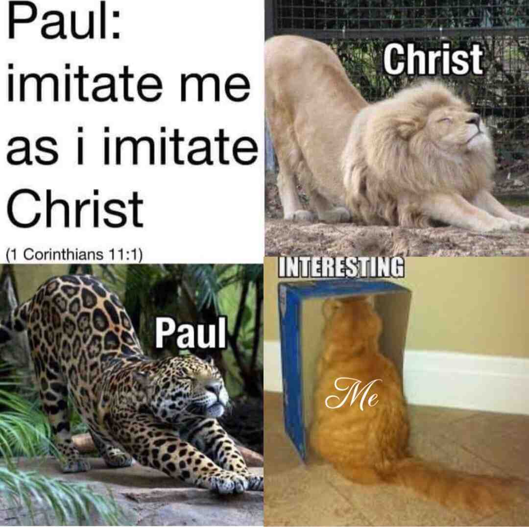 #whileimeating #notwhileimeating #biscuitsmcv #scripture #memes