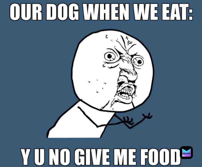 This my dog whenever he sees us eat😂😂😂 #dog #foof #likethis #peepeepoopoocheck