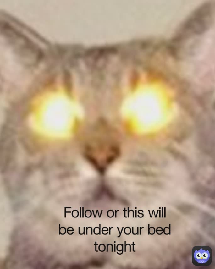 Follow or this will be under your bed tonight