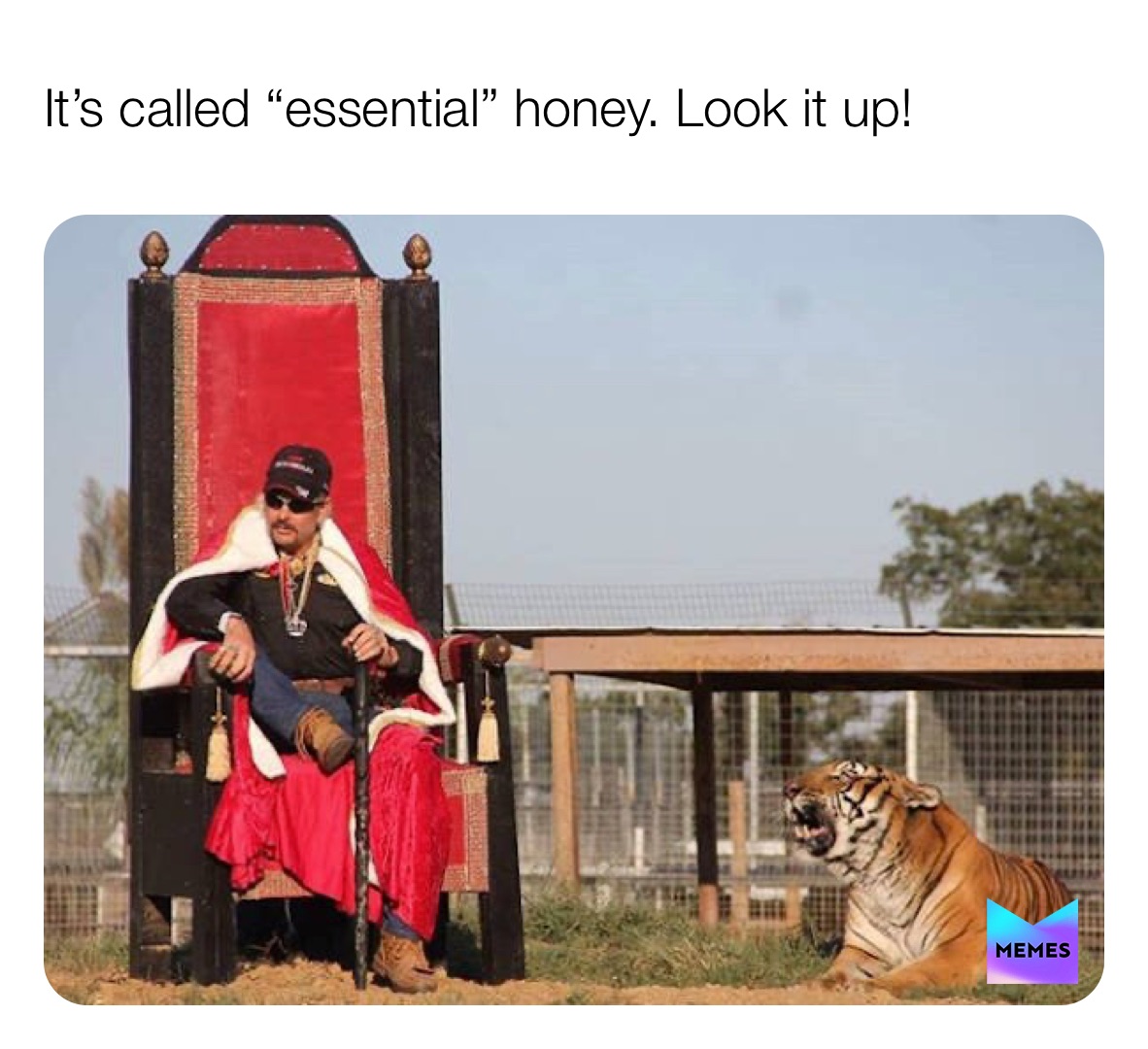 Meme by brian.burgess