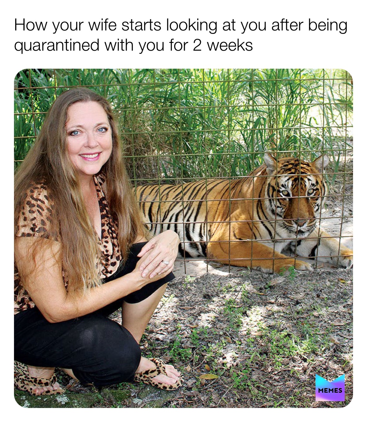 Meme by brian.burgess