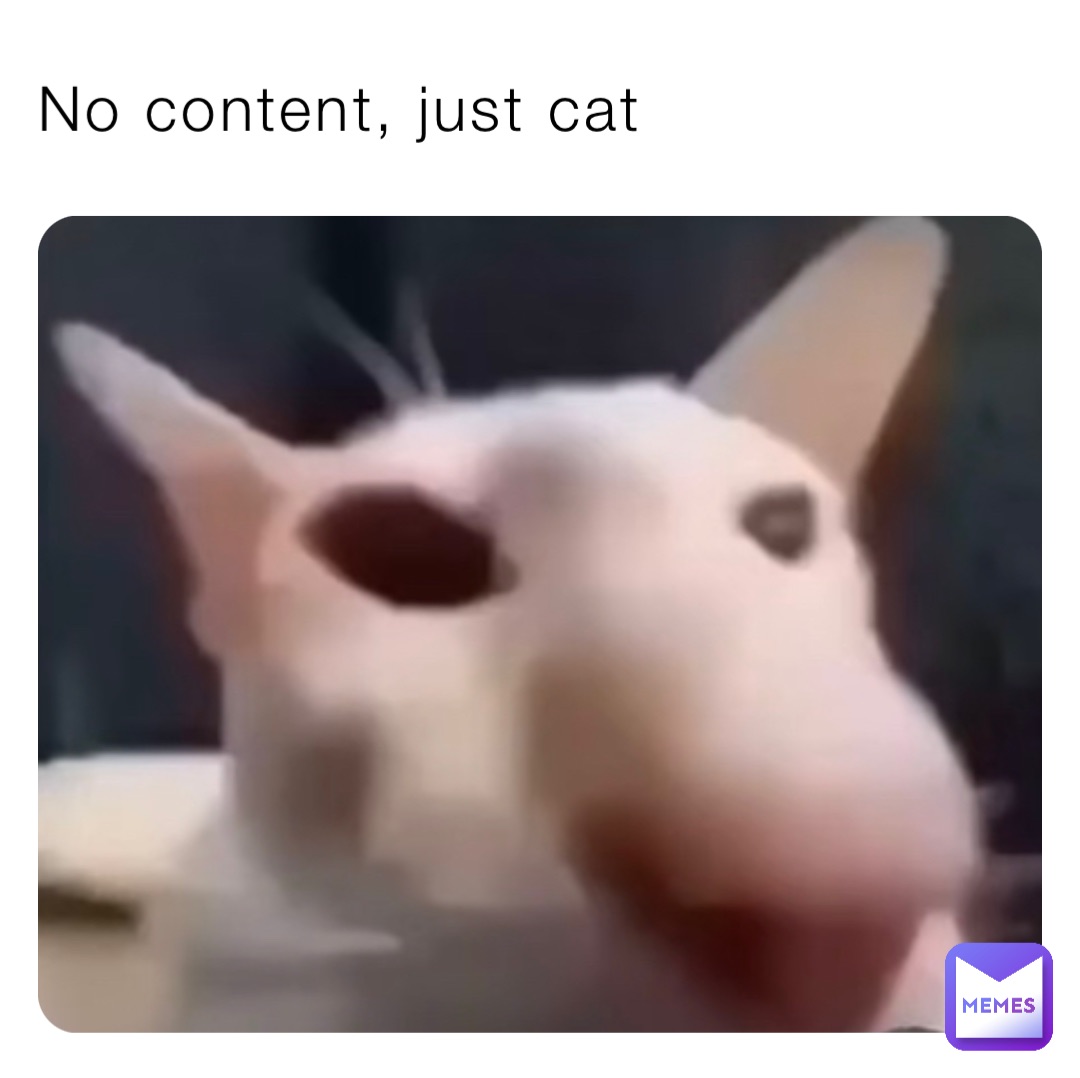 No content, just cat