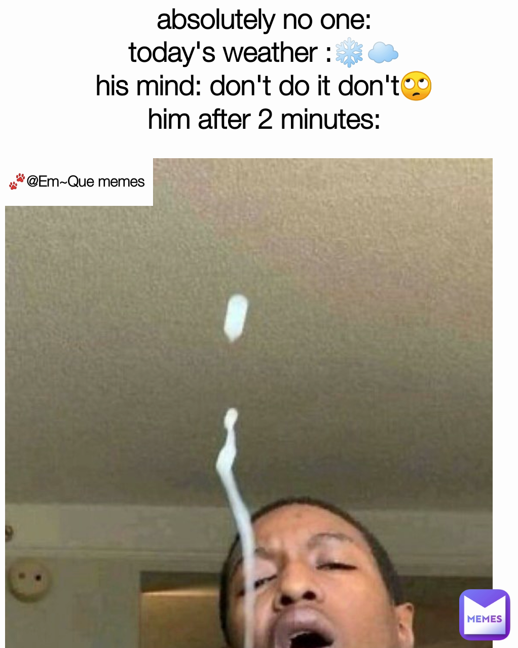 🐾@Em~Que memes absolutely no one:
today's weather :❄️☁️
his mind: don't do it don't🙄
him after 2 minutes: