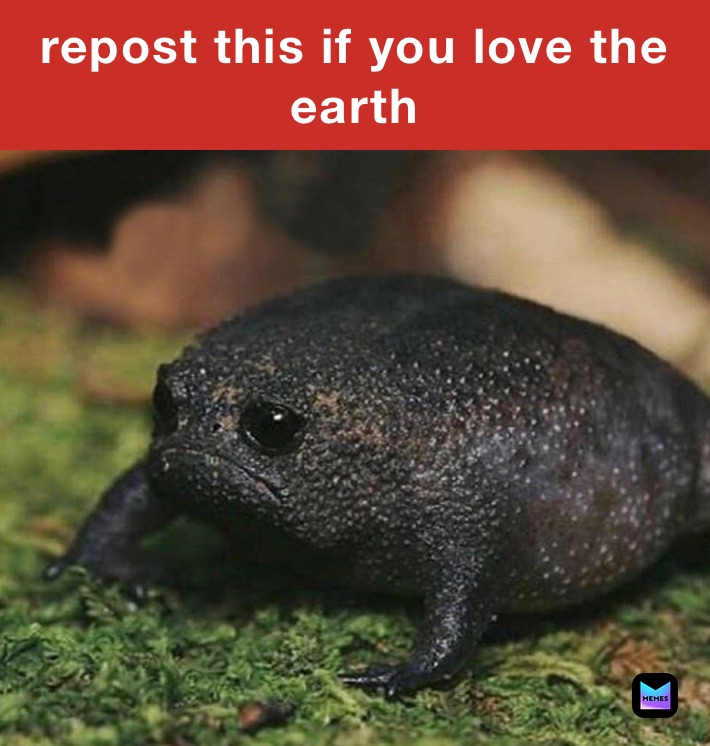 repost this if you love the earth