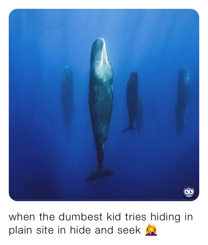 when the dumbest kid tries hiding in plain site in hide and seek 🤦‍♀️