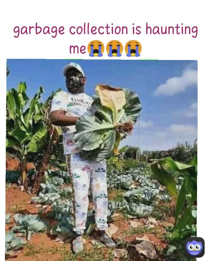 garbage collection is haunting me😭😭😭 odhyx Memes