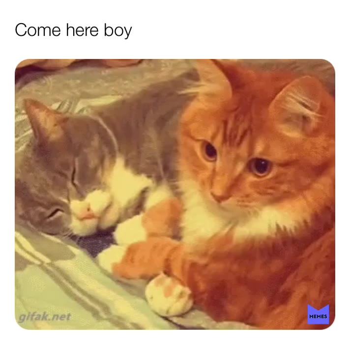 #come here