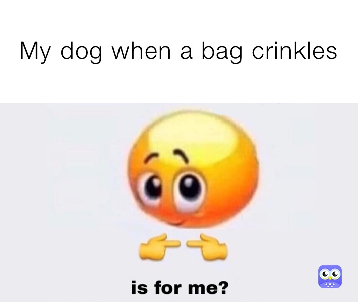 My dog when a bag crinkles