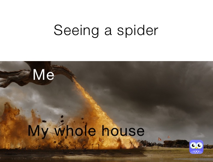 Seeing a spider