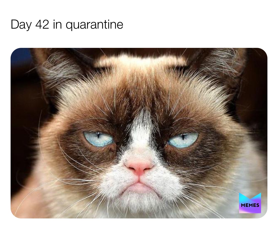 Meme by mischaracterize