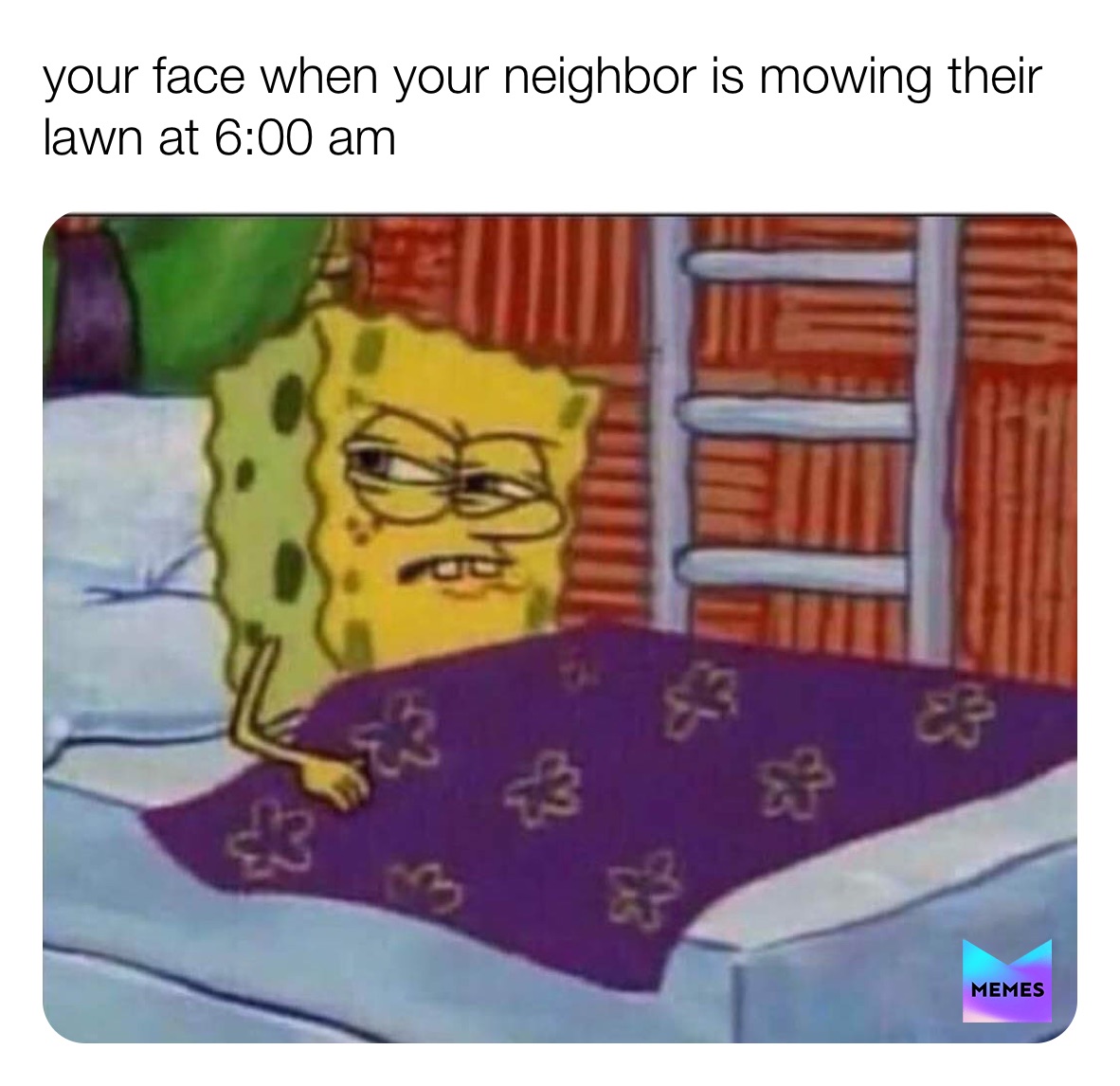 Meme by mischaracterize