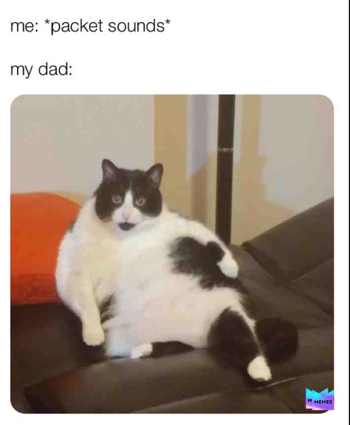 Meme shared by @adam1583291069