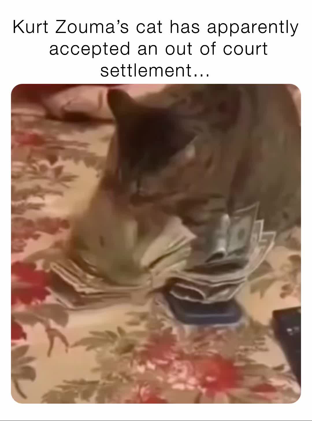 Kurt Zouma’s cat has apparently accepted an out of court settlement… gknapp1987 Memes