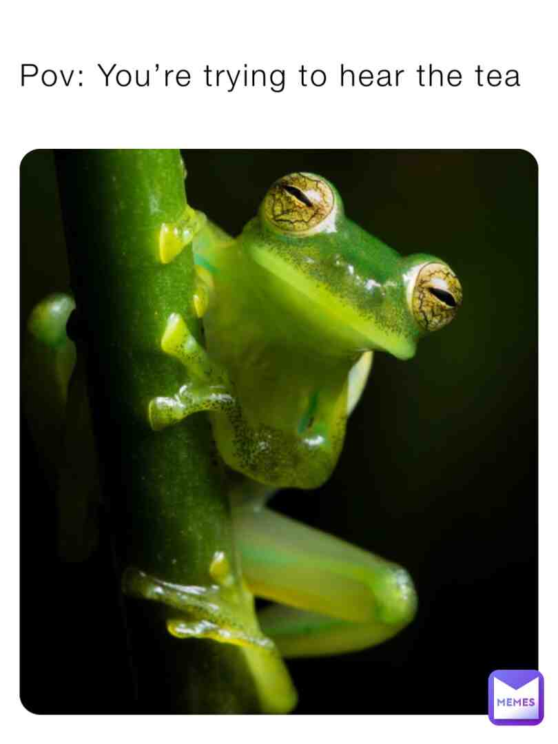 Meme shared by @TheMemeCloset