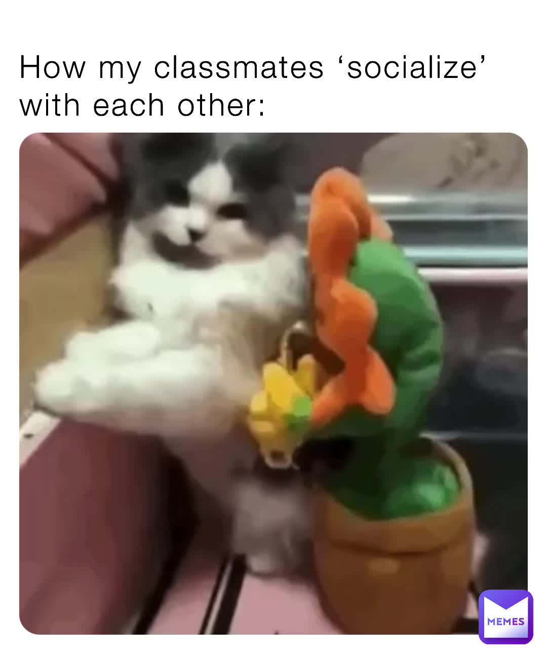 Meme shared by @TheMemeCloset