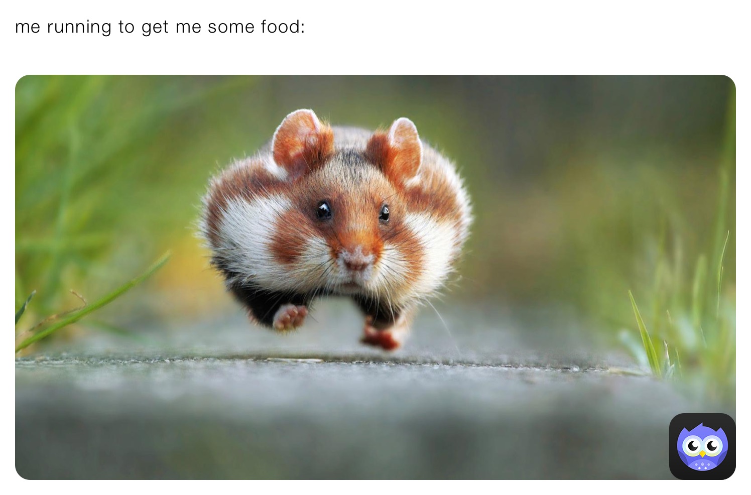 me running to get me some food:
