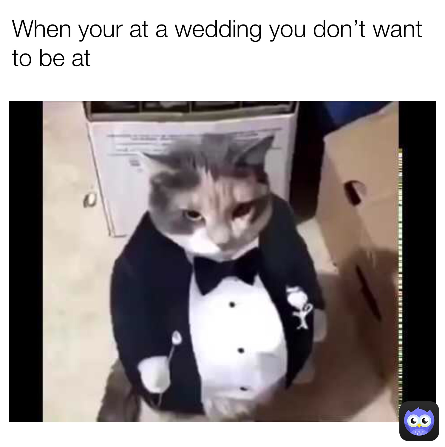 Meme by xXLonely_BeanXx