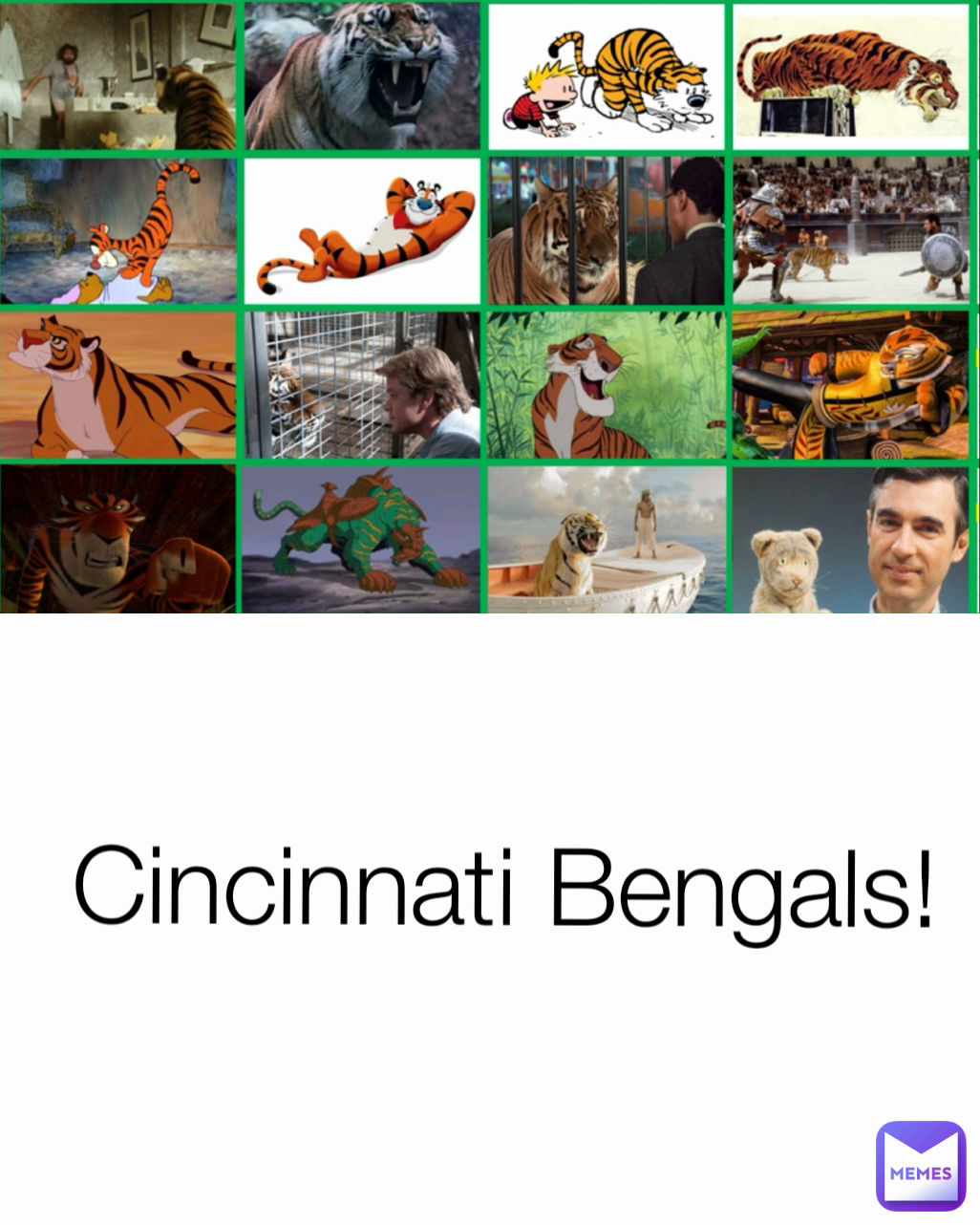 Cincinnati Bengals!