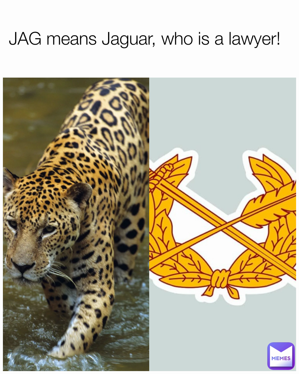 JAG means Jaguar, who is a lawyer!  