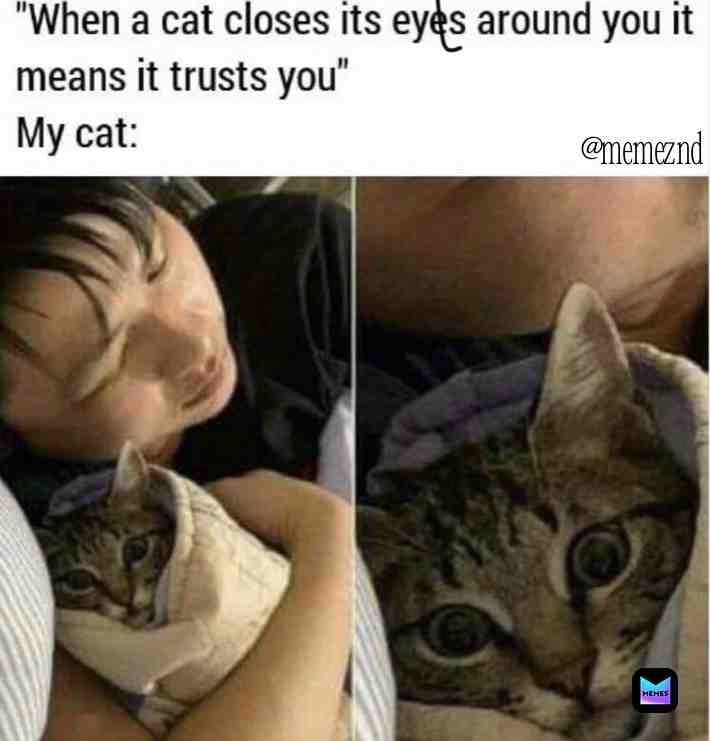  #memepagepurge #dopememes #newmemesdaily #memelords #memesonly #memerlife #ilovememes #memesfordays #memesoftheday #memes4ever #funnymemes #creepymemes #bestmemesever #bestmemes #supermemes #couplememes #wikihowmemes #onlymemes #dankmemes #dankmemesonly #dankhumor #memedank #freememeskids #ironicmemes #greatmemes #litmemes #firememes #memedealer #newmemespage