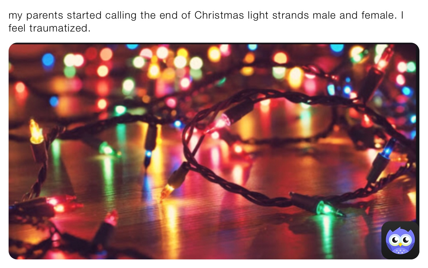 my parents started calling the end of Christmas light strands male and female. I feel traumatized.