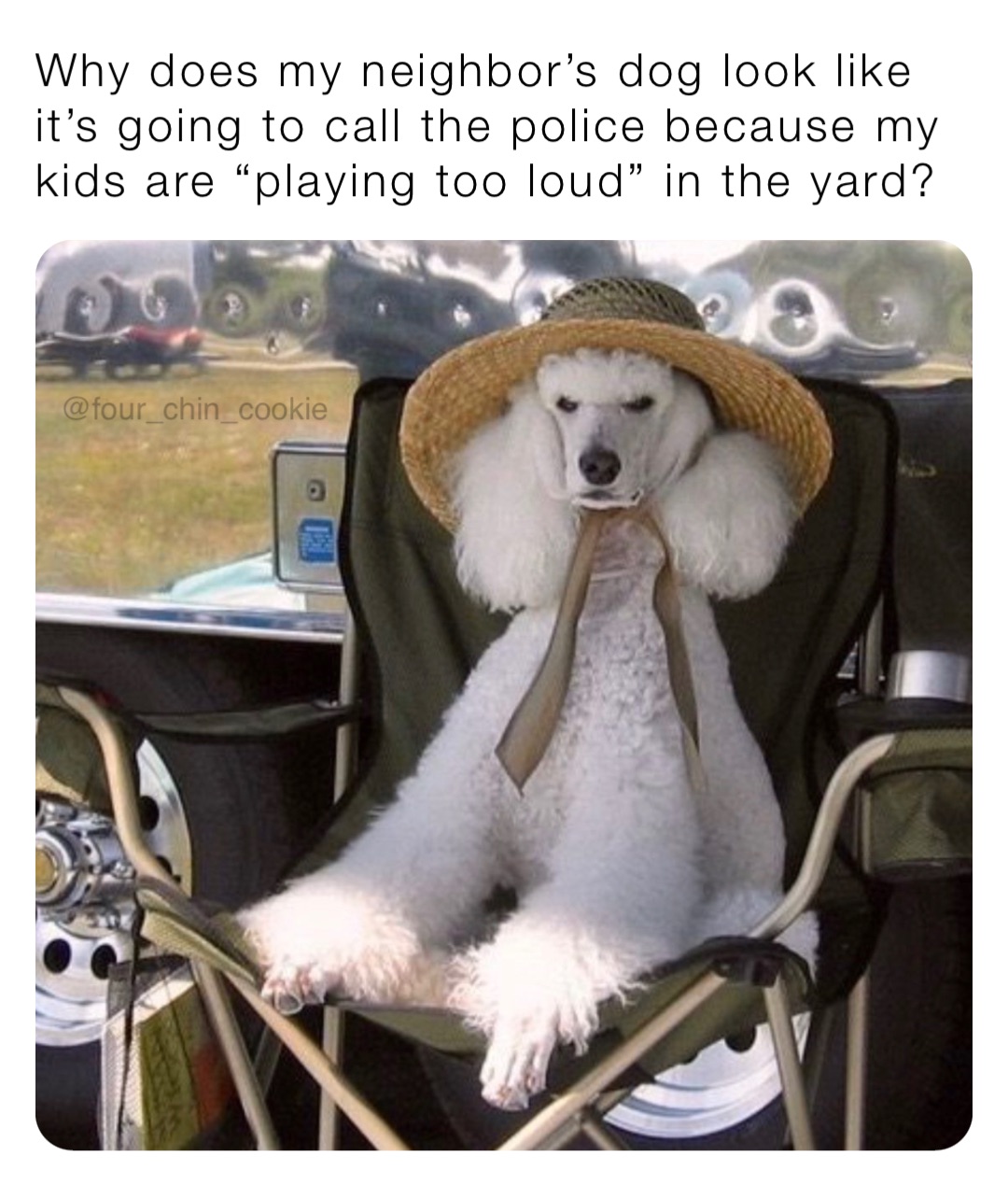 Why does my neighbor’s dog look like it’s going to call the police