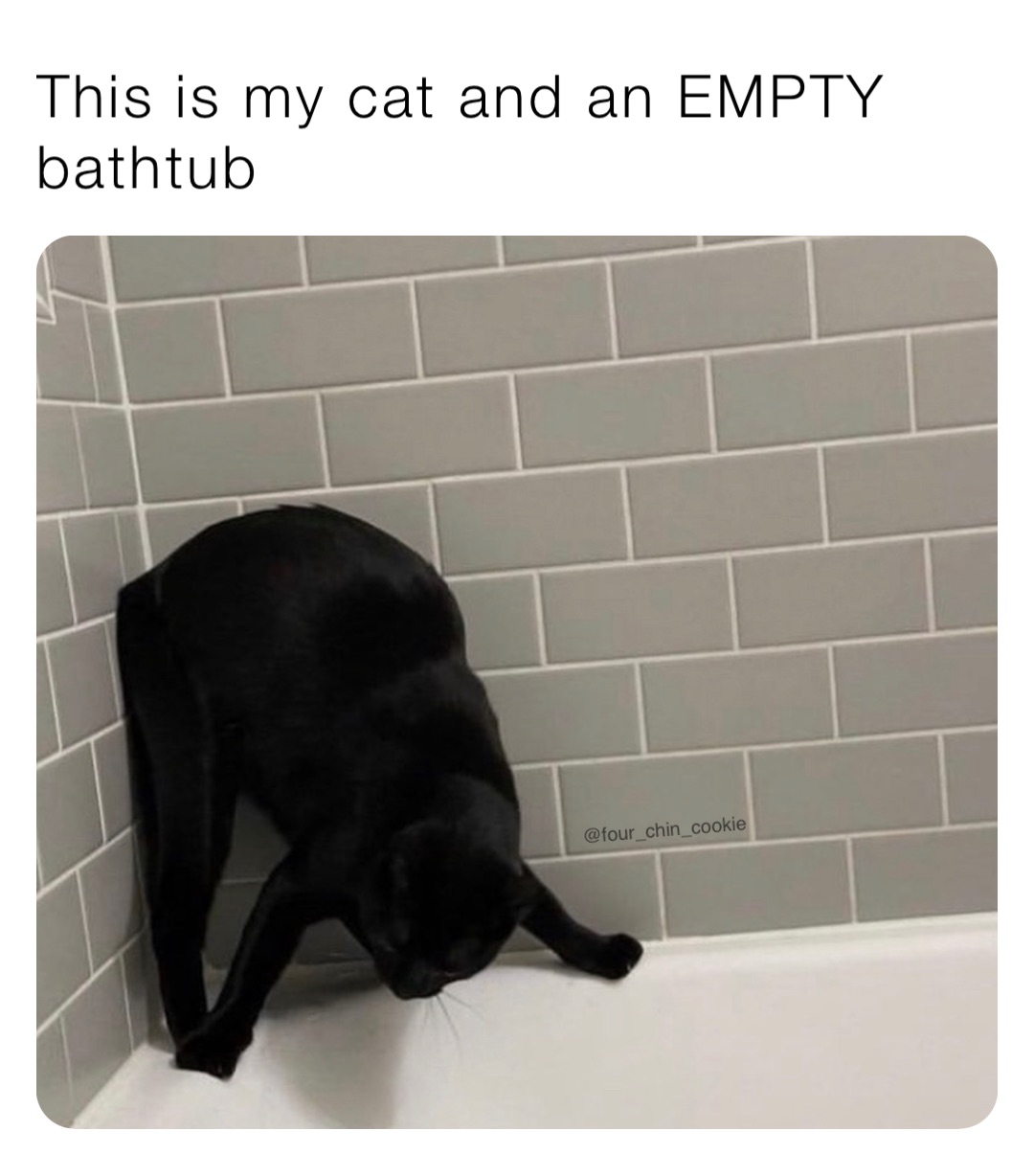 This is my cat and an EMPTY bathtub