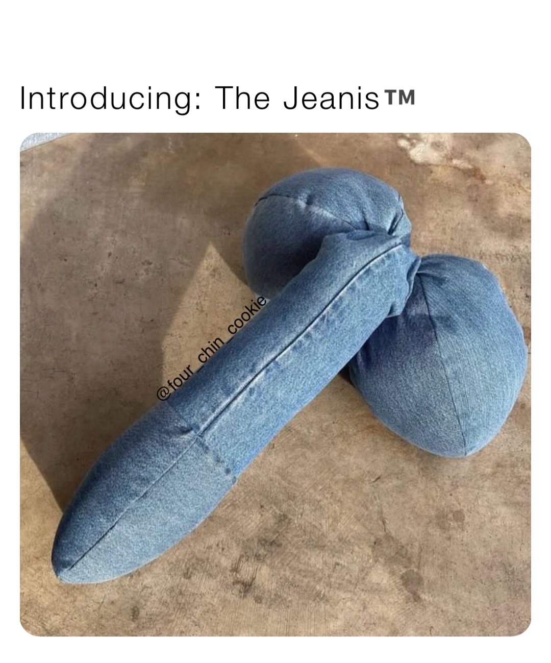 Introducing: The Jeanis™️