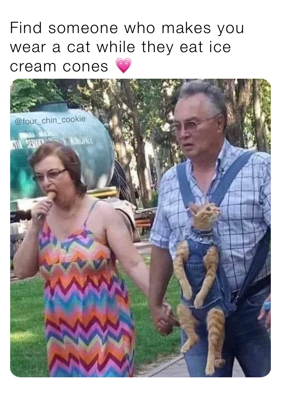 Find someone who makes you wear a cat while they eat ice cream cones 💗