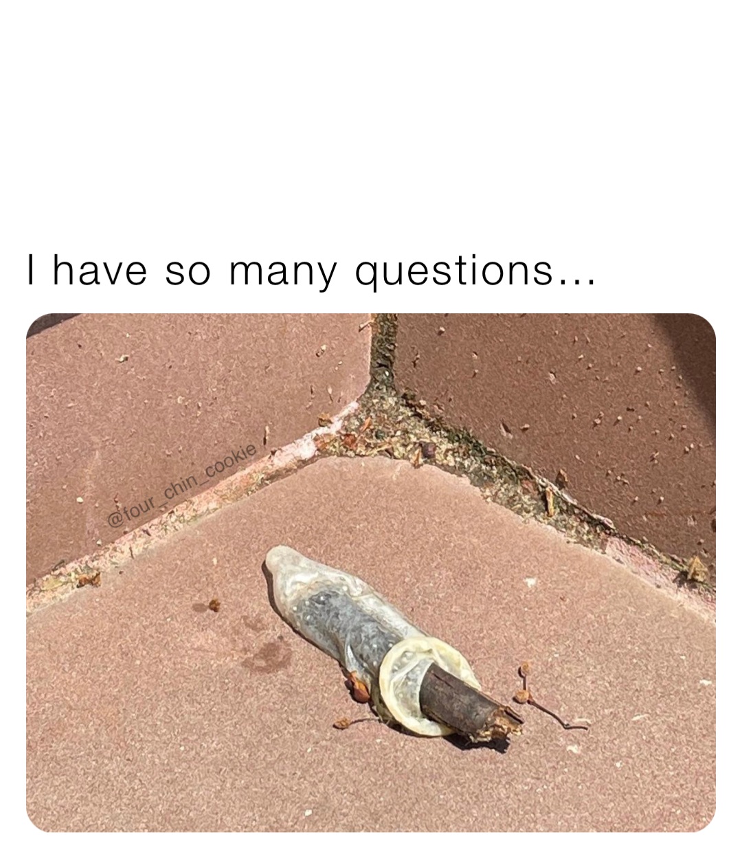 I have so many questions…