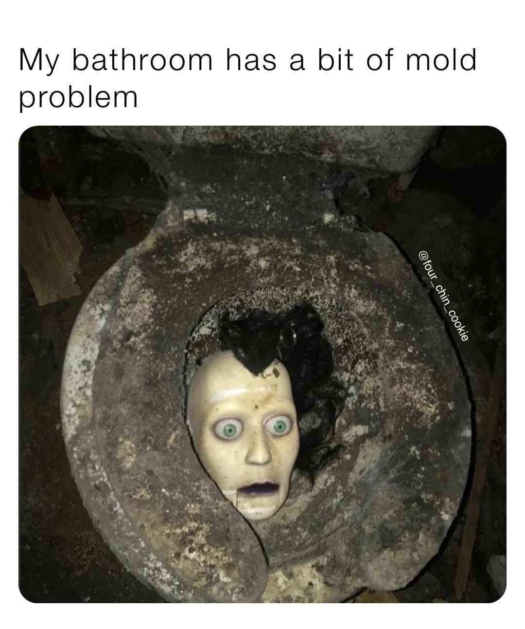 My bathroom has a bit of mold problem