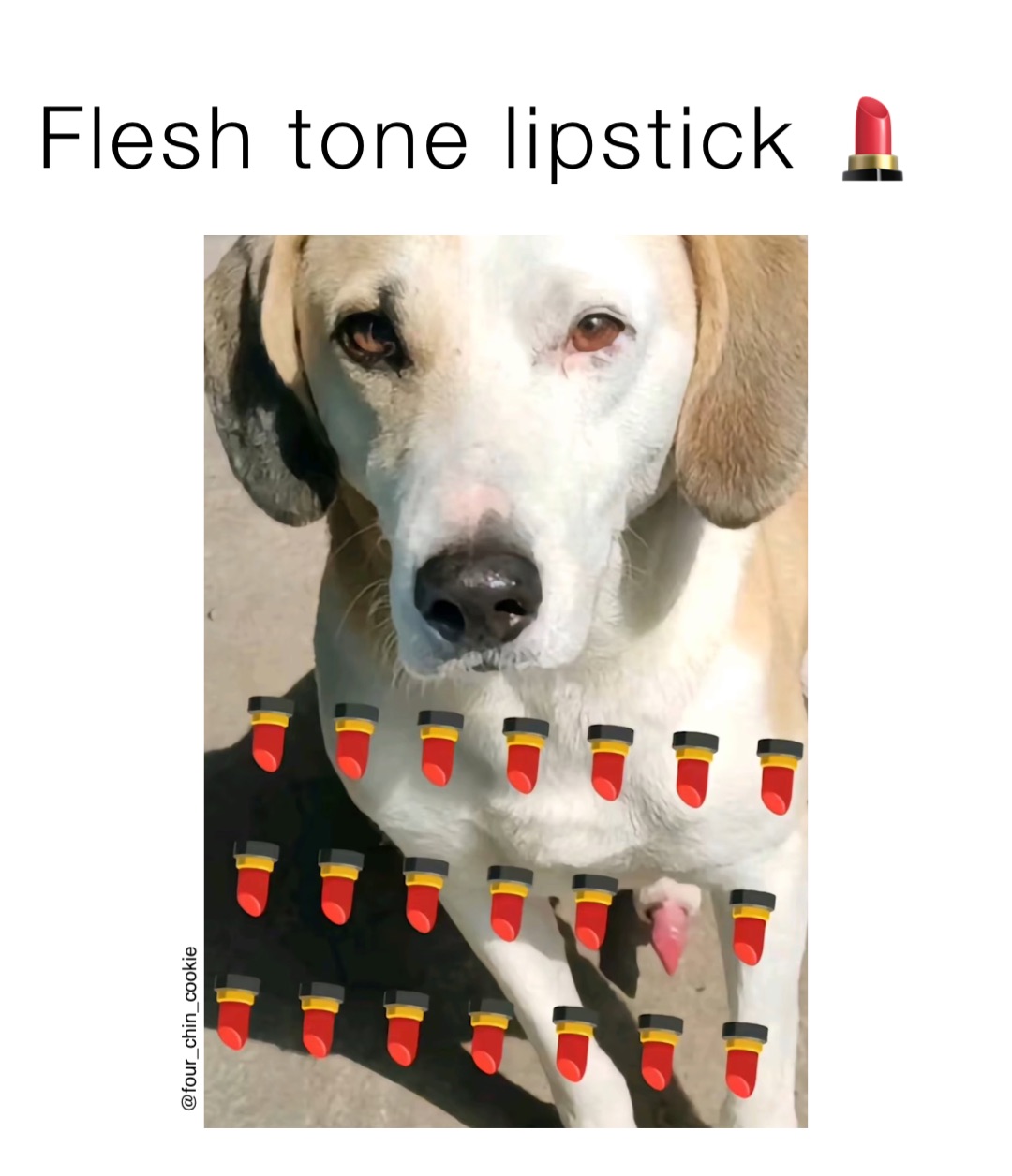 Flesh tone lipstick 💄