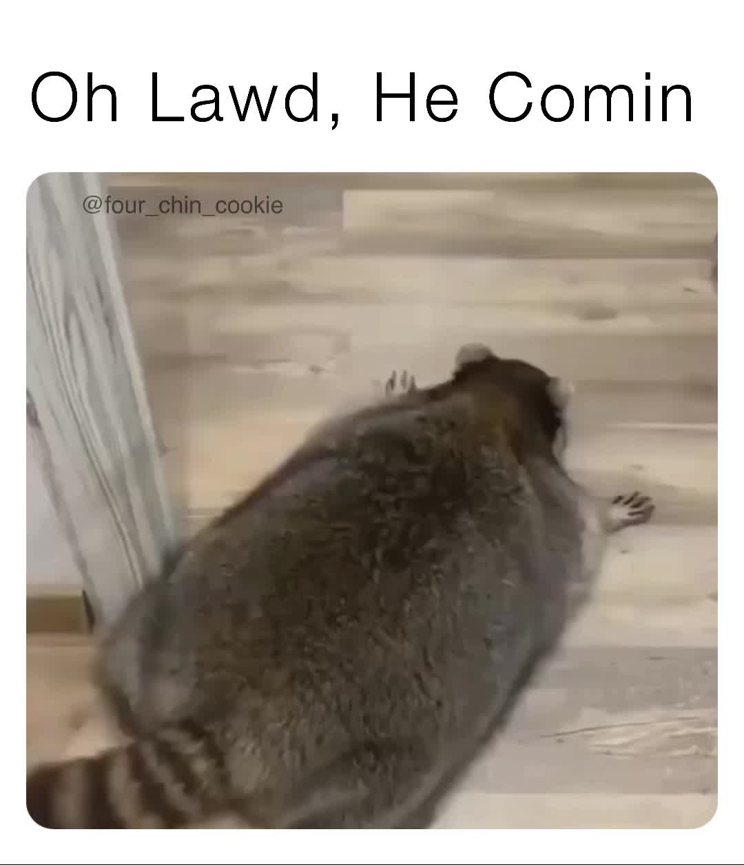 Oh Lawd He Comin Fourchincookie Memes 