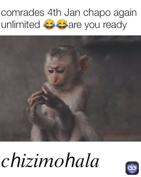 Meme by chizimohalamemes