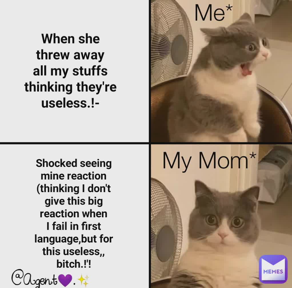 Me* My Mom* When she threw away all my stuffs thinking they're useless.!- Shocked seeing mine reaction
(thinking I don't give this big reaction when I fail in first language,but for this useless,, bitch.!'! @Agent💜.✨