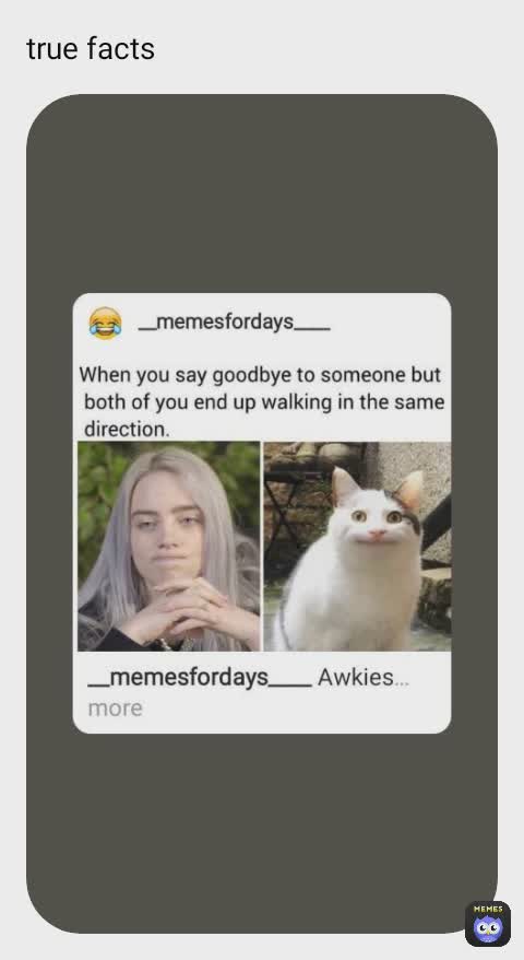 Meme by meme_lord_king