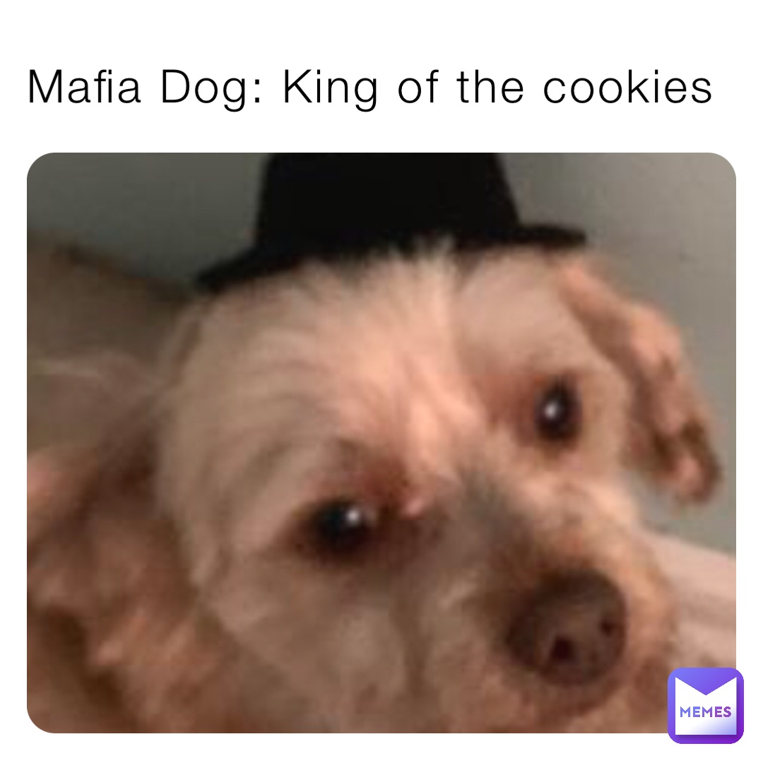 Mafia Dog: King of the cookies