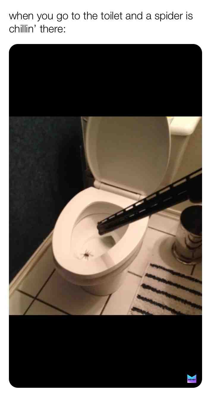 #meme #memenation #memes4life #memer #spiders #funny