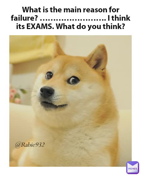 What is the main reason for failure? ……………………. I think its EXAMS. What do you think? @Rabie932