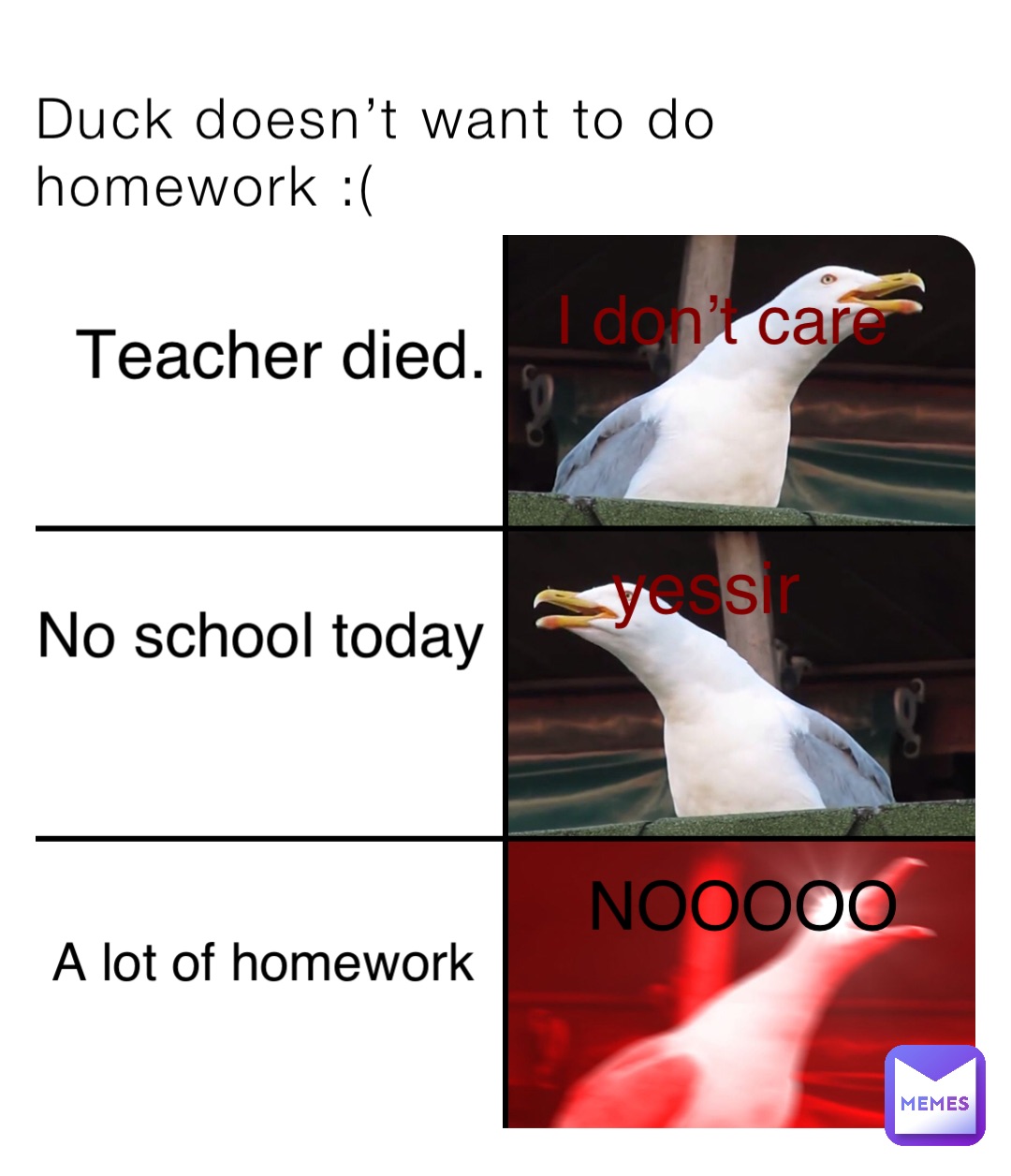 Duck doesn’t want to do homework :( Teacher died. No school today A lot of homework NOOOOO yessir I don’t care