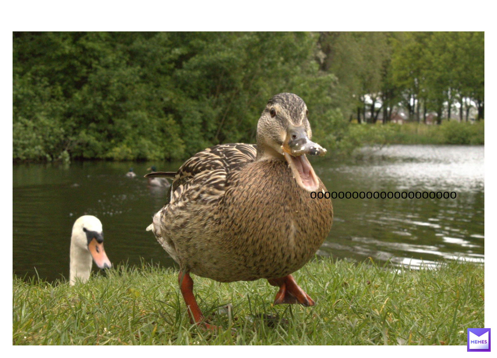 Meme by 1duck
