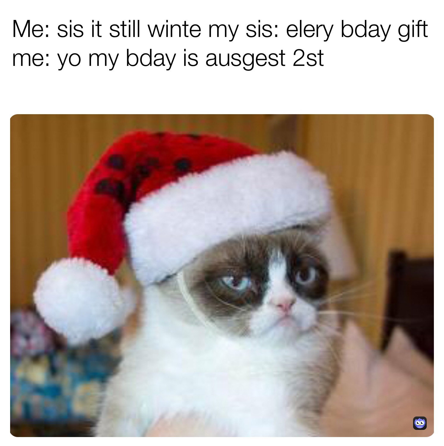 merry christmas grumpy cat meme