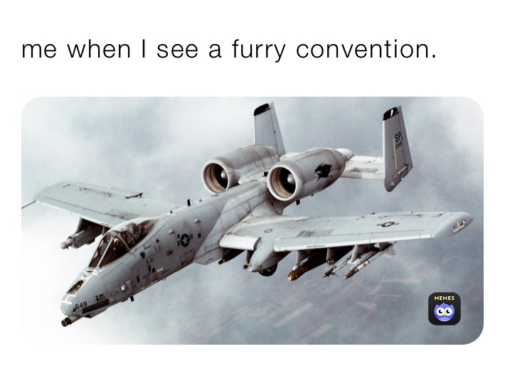 me when I see a furry convention.